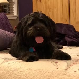 Meet your Posher, Nancy